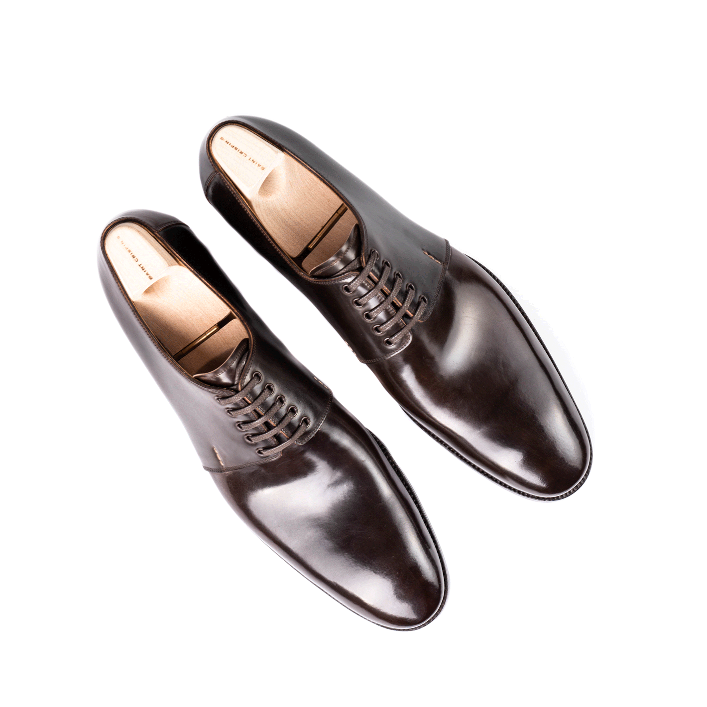 Elegant, five eyelet Derby in dark brown Cordovan leather