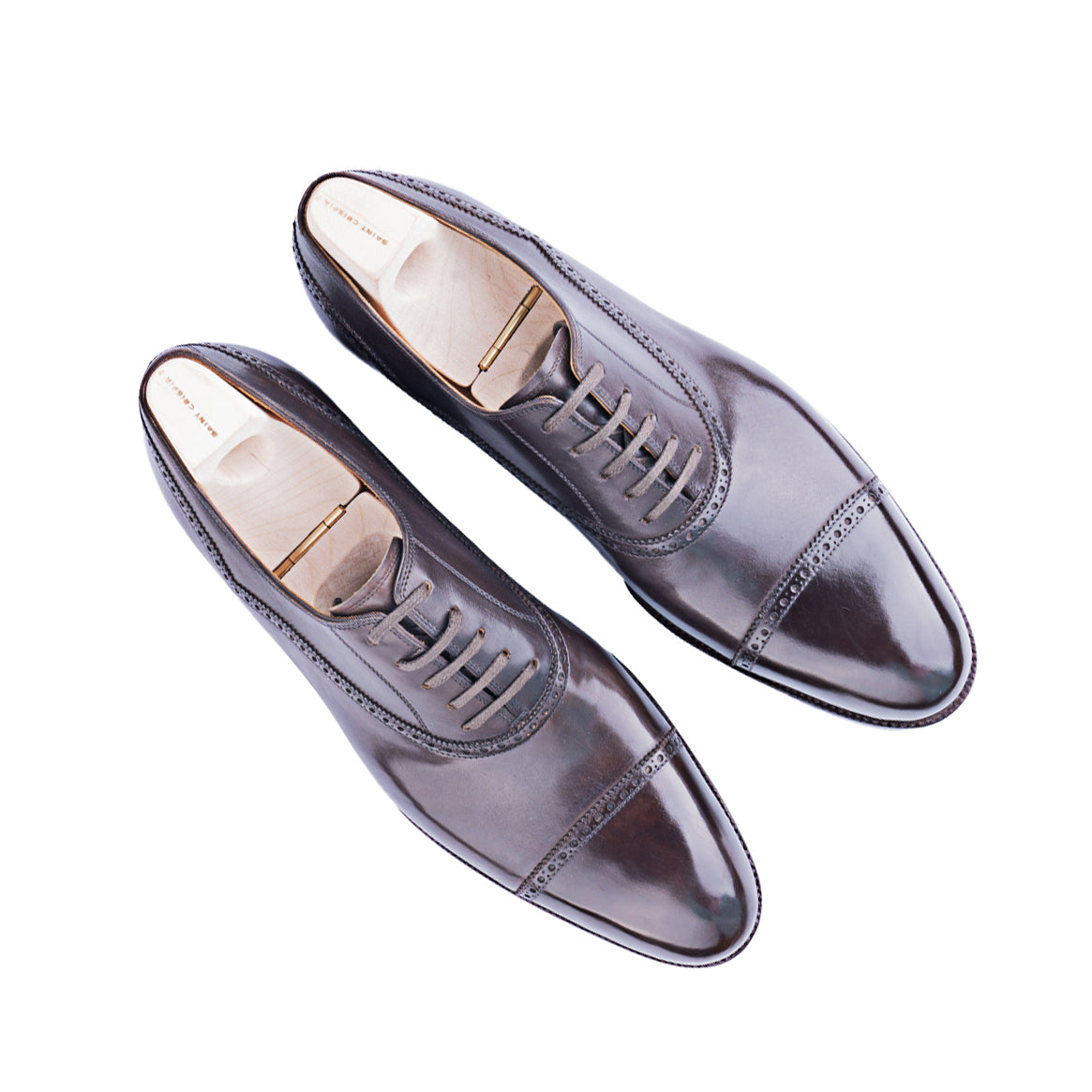 Pedder - Oxford, straight accolade side brogueing