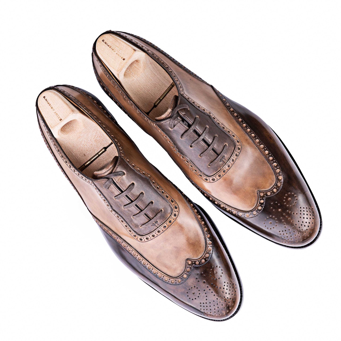 Long wing full brogue Oxford - Biccolore, Spectator!