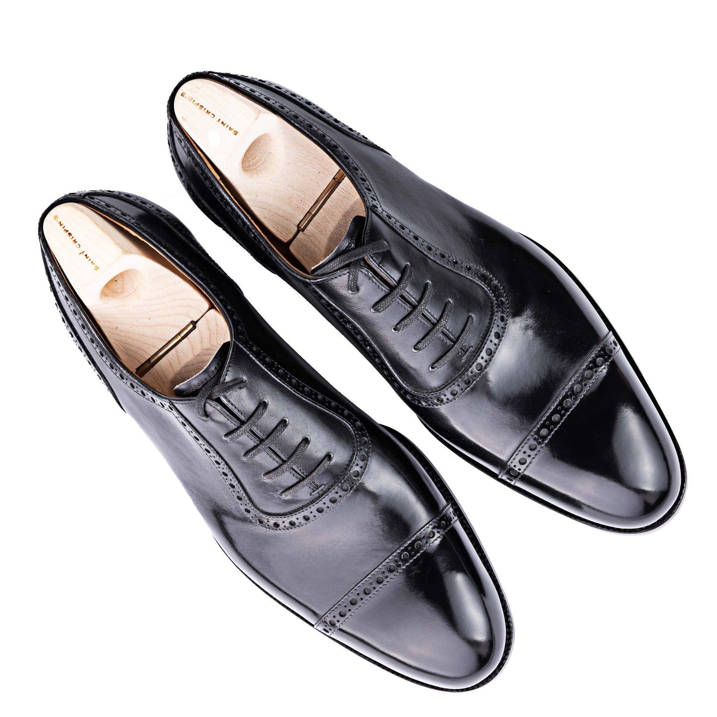 The Brogued Oxford