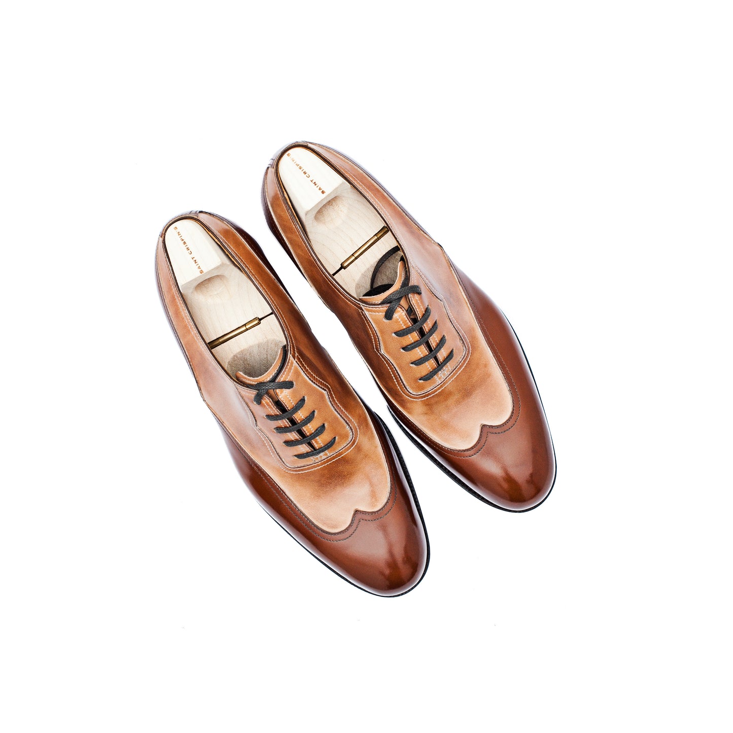 Elegant long wing tip Oxford - Spectator!