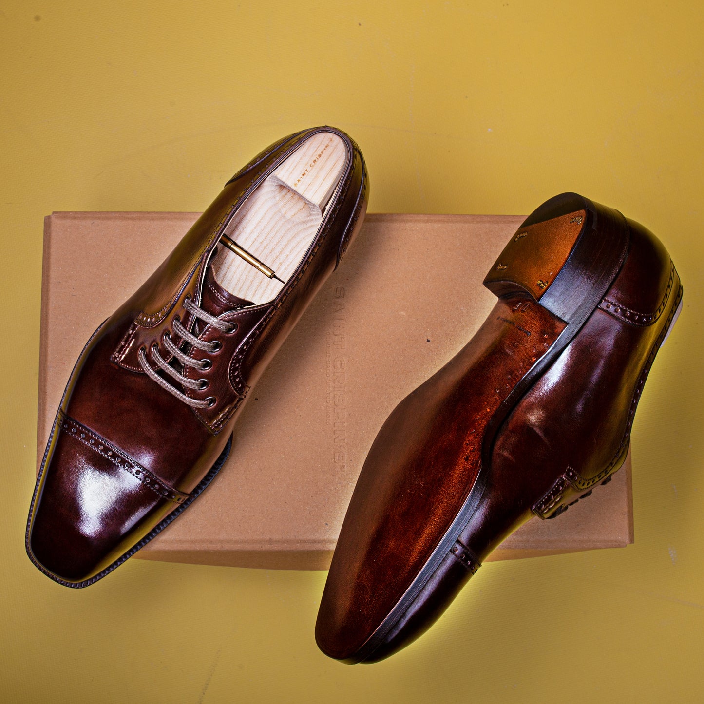 Elegant swan neck Derby with five eyelets