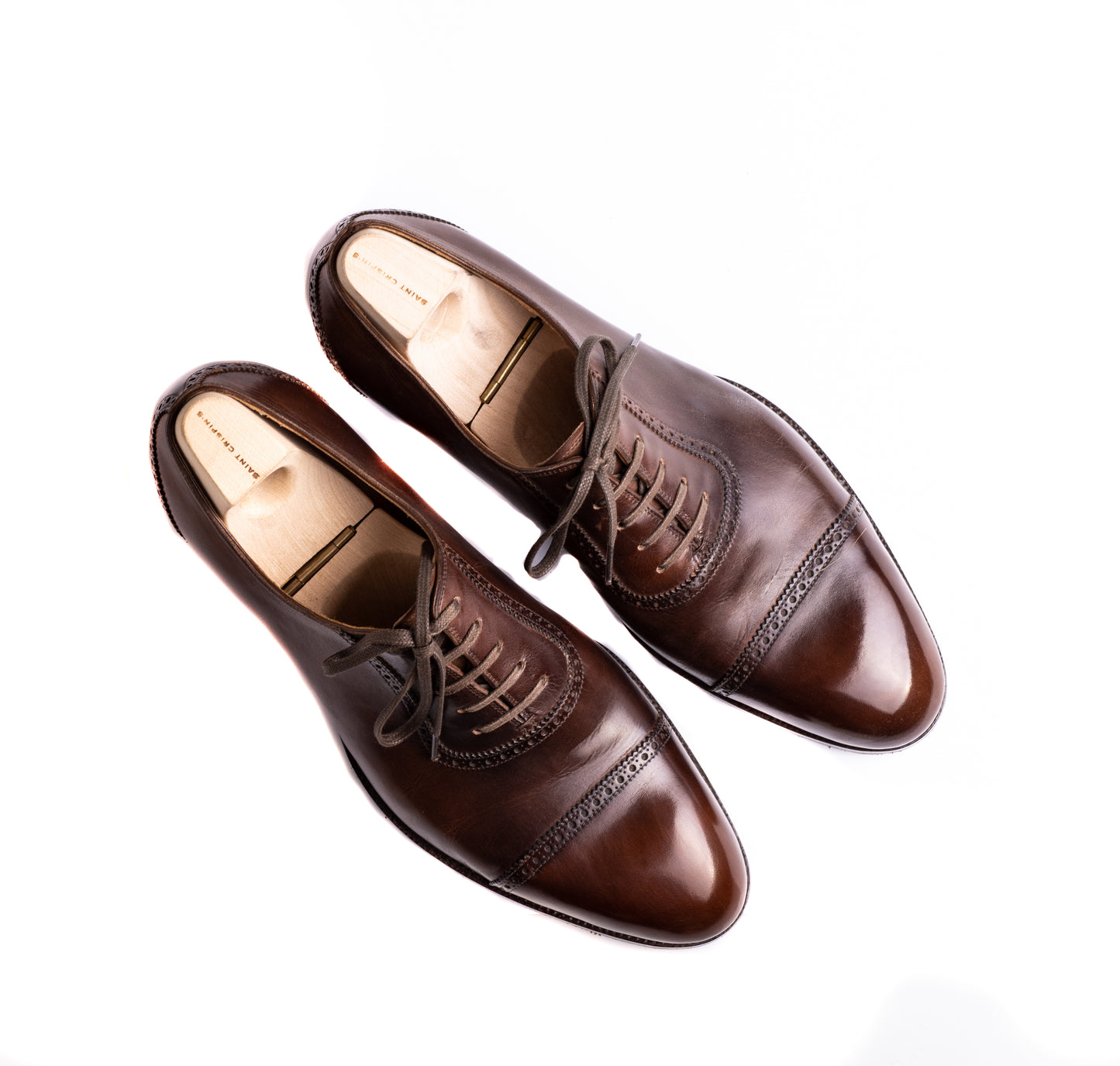 Straight toe Oxford, fully brogued - 8G