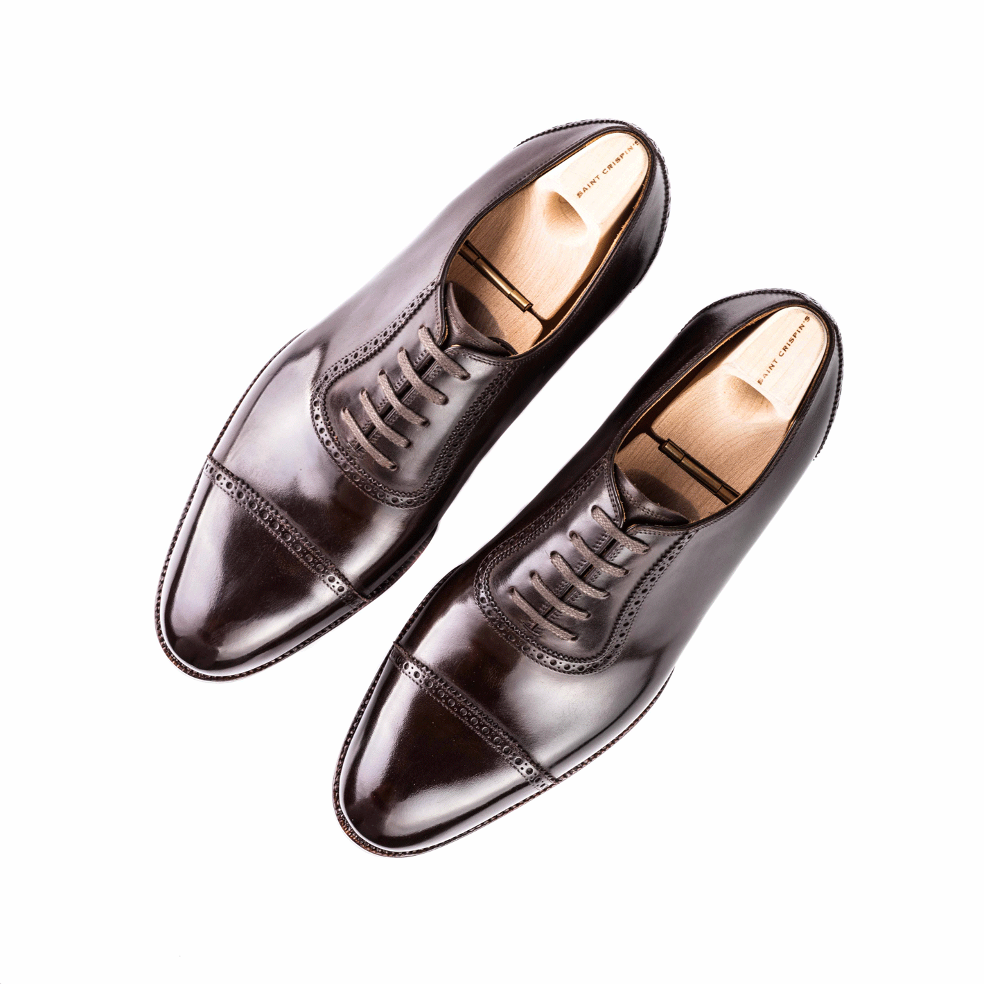 Straight toe Oxford, fully brogued - 8G